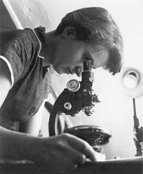 portrait of Rosalind Franklin