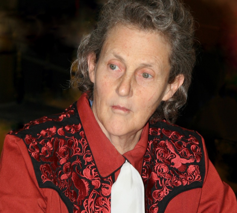 portrait of Temple Grandin