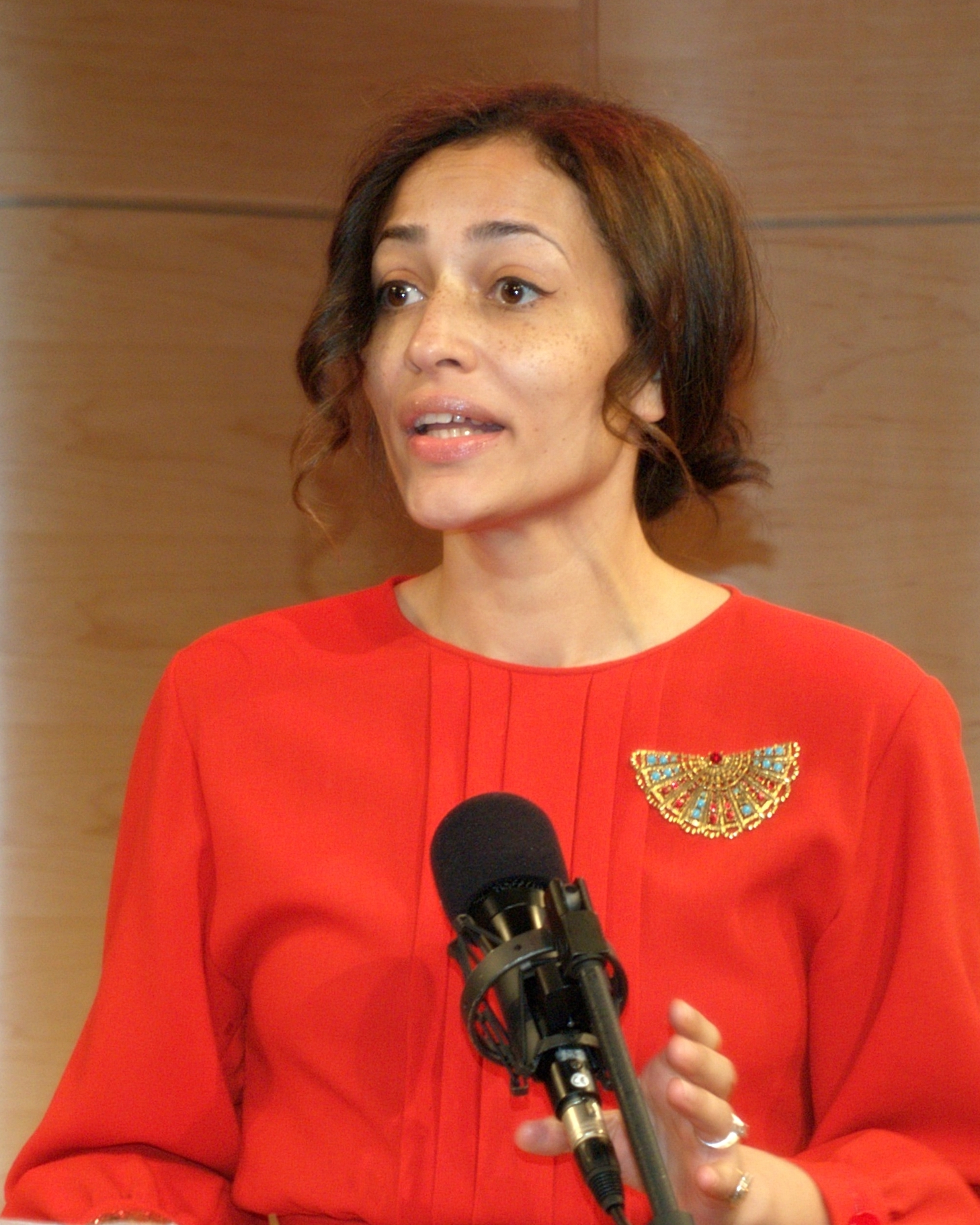 portrait of Zadie Smith